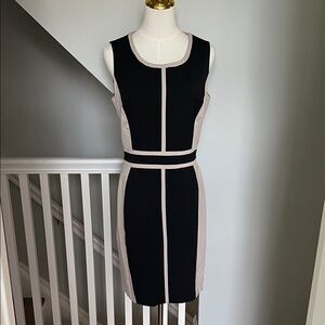 Sleeveless Black and Beige Panel Sheath Dress